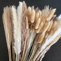 Dried Flowers 80 Pcs/lot Cream Pampas Grass Fluffy Room Phragmites Decoration Natural Bunny Tail Grass Dried Flowers Bouquet Boho Home Decor R230720