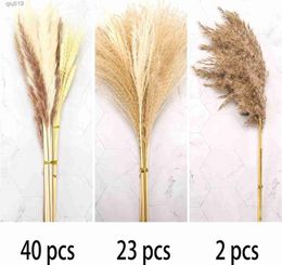 Dried Flowers 65pcs Nutaral Dried Pampas Grass Pampas Grass Decor Tall Small Pampas Grass Flower Arrangements Fluffy Pampas Plants for Home R230720