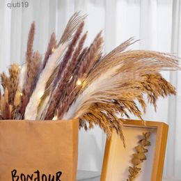 Dried Flowers 30pcs Dried Flower Nature Fluffy Pampas Grass for Wedding Party Decoration Bunny Rabbit Tail Reeds Artificial Flowers Home Decor R230720