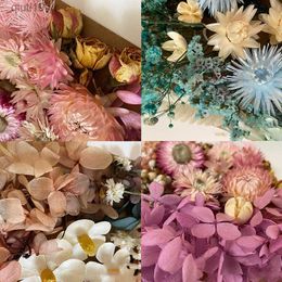 Dried Flowers Dried Flowers Babys Breath Eternal Hhydrangea Flower DIY Real Forever Dried Flower Resin Mold Making Nail Art Embossing Material R230720