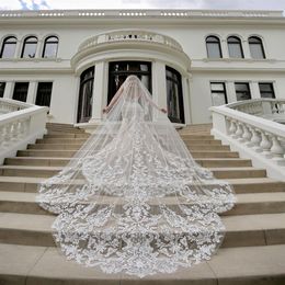 New Arrival Wedding Veils Cover Face Three Meters Long With Lace Applique Edge One Layer Cathedral Length Custom Made Cheap Bridal246J