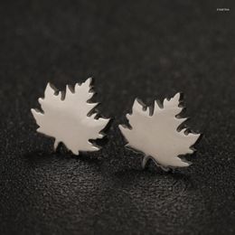 Stud Earrings Canada Acer Mono Shape Earring Studs Stainless Steel Small Tree Leaves Foliage Korean Piercing Cartilage