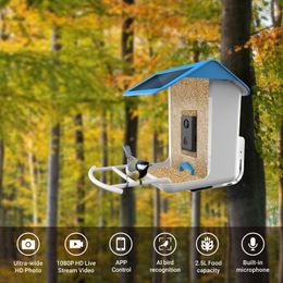 Garden Decorations Bird Feeder With Camera Feeders House Wireless WiFi 1080p For Outdoor Watching Aves 230719