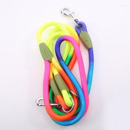 Dog Collars Fashion Reflective Nylon Leashes Pet Dogs Chain Traction Rope Leads For Running Free Hands Small Large