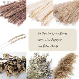 Dried Flowers 100PCS Natural Dried Papyrus 17 Inch Flowers Pampas Plants Reed Grass Bohemian Home Decor Are Ideal For Wedding Decoration R230720