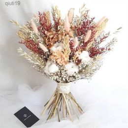 Dried Flowers New Product Bunny Rabbit Tail Grass Dried Flowers Bouquet Beautiful Bride Bouquets Wedding Centerpiece Arrangements Mother Gift R230720