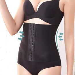 Women's Shapers Shapewear Waist Trimmer For Women Trainer Belt Cincher Slimming Band Corset