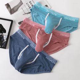 Underpants Sexy Men's Underwear Briefs Mens Panties Ice Silk Mesh Breathable Penis Pouch Scrotum Separate Elephant Nose Knickers