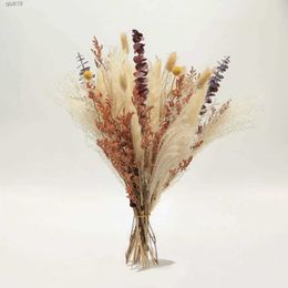 Dried Flowers Fluffy Pampas Dried Flowers Bouquet Home Garden Decor Natural Bunny Tail Grass Artifical Flower Wedding Party Decoration R230720