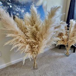 Dried Flowers 120cm White Natural Pampas Grass Decor Tall Beige Large Dried Pampas for Boho Wedding Flower Arrangements Garden Home Room Decor R230720