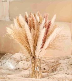 Dried Flowers 85Pcs Natural Fluffy Pampas Grass Bouquet Boho Home Wedding Decor Dried Flowers Pompous Large Reed Bunny Tail Wheat Decorative R230720