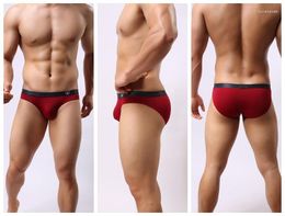 Underpants Brave Person Men's Underwear Sexy Briefs