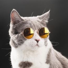 Fashion Glasses Small Pet Dogs Cat Glasses Sunglasses Eye Protection Pet Cool Glasses Pet Pos Props Cat Sunglasses Promotion209T