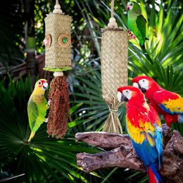 Other Bird Supplies Large Parrot Toys Teeth Cleaning And Entertaining Chew Palm Leaf Training Plush Cage Accessories For Parakeets Conures