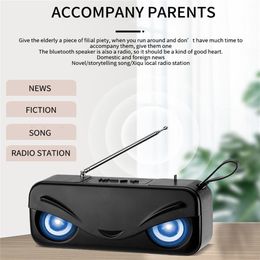 Radio Portable Ser Wireless FM With Long Playback Time 5Wx2 Stereo Supporting Micro TF Card For Outdoors Travel 230719