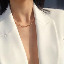 Trendy Paperclip Chain Necklace Geometric Simple Small Oval Link Women Clavicle Fashion Jewelry Chains286w