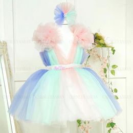 Girl Dresses Colourful Princess Dress V-Neck Party Flower 2023 A-line Tulle Puffy Baby First Communion