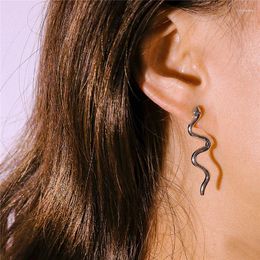 Stud Earrings Personality Punk Alloy Snake For Women Exaggerated Animal Earring Jewellery