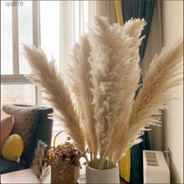 Dried Flowers 80cm Natural Pampas Grass Large Size Dried Flower Bouquet Home Decor Tall Fluffy Stems Living Room Decor Wedding Backdrop R230720