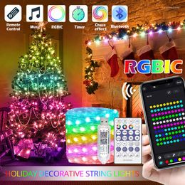 Strings Dreamcolor Christmas Lights String BT Music WS2812B RGBIC Lighting Addressable Party Wedding Garland Decoration Outdoor USB DC5V