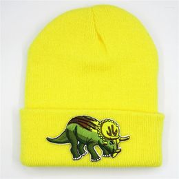 Berets Cotton Dinosaur Animal Embroidery Thicken Knitted Hat Winter Warm Skullies Cap Beanie For Men And Women 373