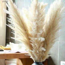 Dried Flowers Natural Dried Pampas Grass Fluffy Pampas Bouquet Boho Long Dried Flowers Wedding Arch Decor Home Living Room Flower Arrangement R230720