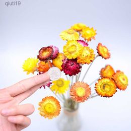 Dried Flowers Dried Flowers Bouquet Natural DaisyMulticolor Daisies Sunflowers Dry Flower Arrangements for Wedding Farmhouse Table Vase Decor R230720