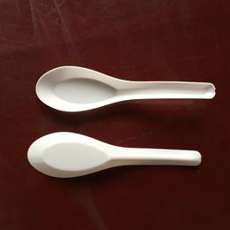 3000 Pieces Asian Soup Spoons Saimin Ramen White Plastic Spoon Outdoor Disposable Spoons Dining Food Fast 250f