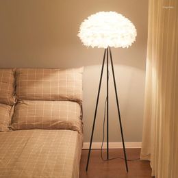 Floor Lamps Nordic Modern Simple Feather Lamp Romantic Princess Bedside Living Room Warm Ins-Style Girl Bedroom Decorative Lighting