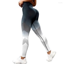 Women's Leggings Spring 2023 Released Women Gym Active Wear Obrme Mesh Seamless Hight Waist Booty Lifting Legging