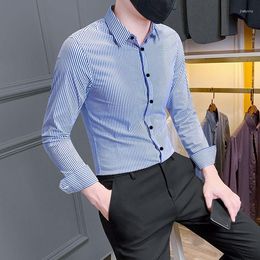Men's Dress Shirts 2023 Spring Autumn Long Sleeve Business Casual Man Button Up Men Leisure Striped I133