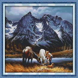 Romances under the snow mountains decor painting Handmade Cross Stitch Embroidery Needlework sets counted print on canvas DMC 14C176y