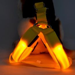 Safety Dog Pet Belt Harness Glow LED Flashing Light Leash Tether Colors light up dog harness pet supplies274E