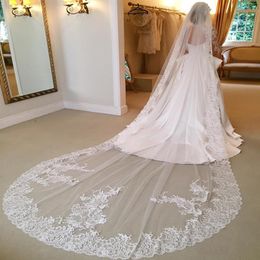 One Layer 3 Metres Long Bridal Veil With Lace Appliques Cathedral Length Wedding Veils With Comb For Bridal Wedding Acces287x