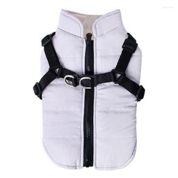 Dog Apparel Winter Jacket Windproof Clothes For Small Dogs Boy Rain-proof & Accessories Cosy Cold Weather