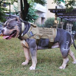 Tactical Military Hunting Shooting Cs Army Service Nylon Pet Vests Airsoft Training Molle Dog Vest Harness 201127263C