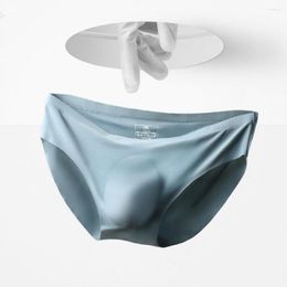 Underpants Men Briefs Transparent Stretchy Quick Dry Panties Underwear For Honeymoon Breathable