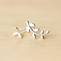 Stud Earrings Asymmetry Real. 925-sterling-silver Branch Olive Leaf Tarnish Resistant Sterling Silver Jewelry C-E1167