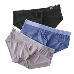 Underpants 2023 Summer Men's Underwear Ultrathin Sexy Triangle Ice Silk Mesh Breathable Quick Drying