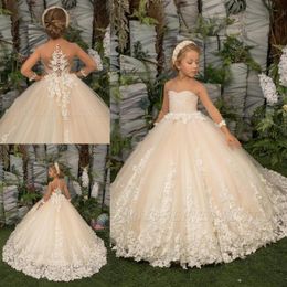 2022 Girls Glitz Pageant Dresses Brush Cute Toddler Ball Gown Beads Crystals Flowers Feather Pearls Applique Flower Girl Dress BC1311a