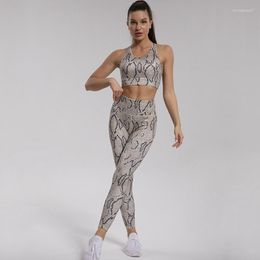 Active Sets Two Piece Gym Womens Outifits Snake Printing Workout Sport Set Women Tracksuit 2023 Yoga Suit For Fitness Sportswear Khaki