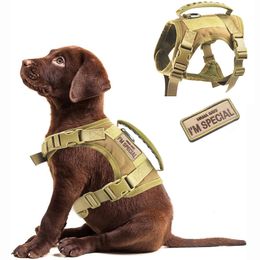 Dog Collars Leashes Tactical Cat Harness Outdoor Service Training Adjustable Pet Vest Comfortable Military Patrol with Handle for Small 230720