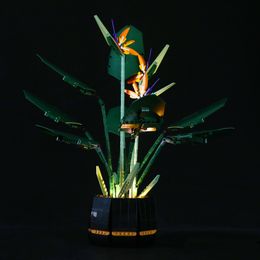 Action Toy Figures SuSenGo LED Light Kit For 10289 Bird of Paradise Model Not Included 230721