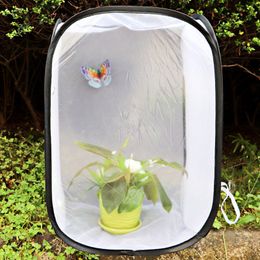 Small Animal Supplies Foldable Insect Butterfly Observation Cage Net Pet Grasshopper Habitat Breeding Incubator Box 230720