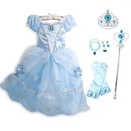 Little Girl Dress Blue Flower Costume Cosplay Cinderella Fantasy Kids Halloween Princess Dress Children Birthday Party Clothes