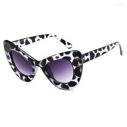 Sunglasses Big Frame Women Cat Eye Eyeglasses Fashion Brand Woman Sun Glasses Female Vintage Oversized Gafas Feminino