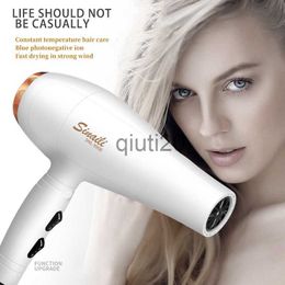 Electric Hair Dryer Professional Hair Dryer Strong Wind Speed Dry Blue Light Negative Ion Silent Noise Reduction Special For Family Hair Salon x0721