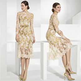 Gold Lace Mother Of The Bride Dresses With Long Sleeves Sheer Bateau Neck Sheath Wedding Guest Dress Tea Length Plus Size Evening 220h