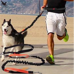 Dog Collars Leashes TAILUP Dogs Leash Running Elasticity Hand Freely Pet Products Harness Collar Jogging Lead and Adjustable Waist Rope CL153 230720