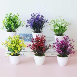 Decorative Flowers Simulated Plant Potted Plants Green Home Decoration Small Ornaments 17 Mesh Star Grass Desktop Flower